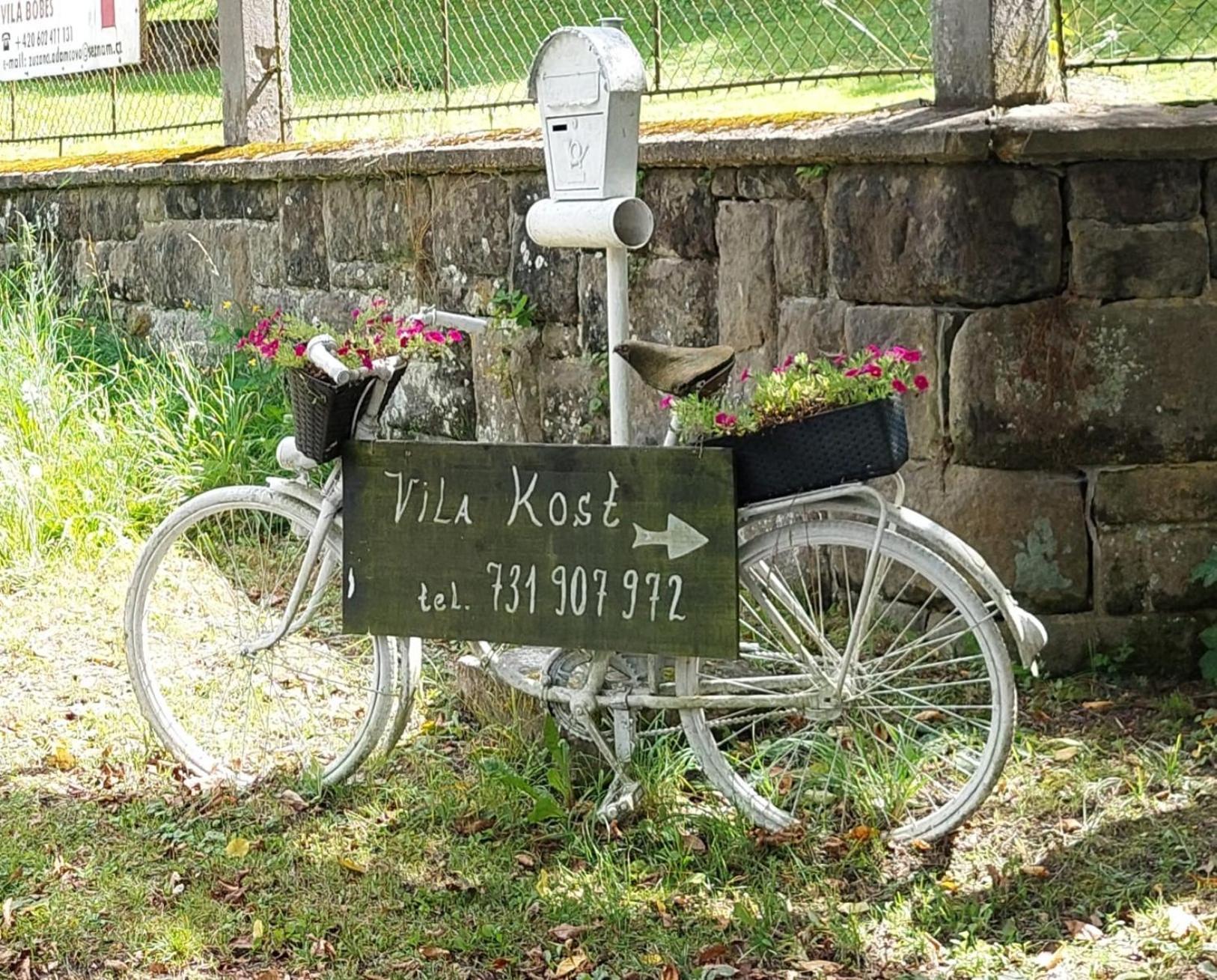 Vila Kost Sobotka Kültér fotó